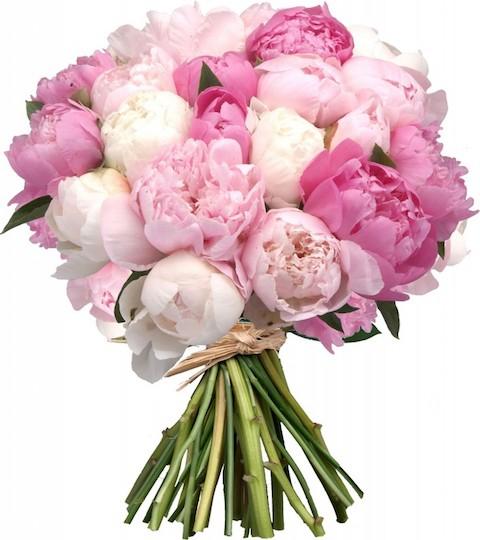 bouquet-of-3-shades-peonies-627284_1024x1024@2x