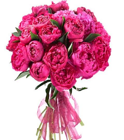 bouquet-of-cerise-peonies-412791_1024x1024@2x