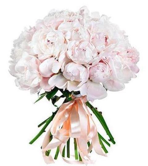 bouquet-of-white-peonies-168438_1024x1024@2x